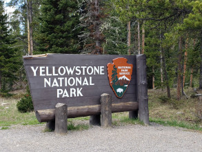 Day 15 - Yellowstone (Lamar Valley & Mammoth Hot Springs)